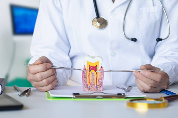 Best Emergency Gum Pain Relief  in East Highland Park, VA